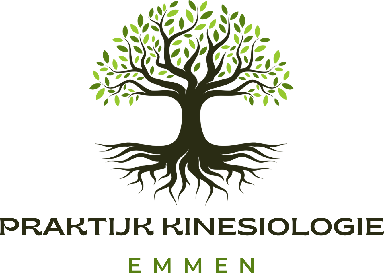 Logo Praktijk Kinesiologie Emmen